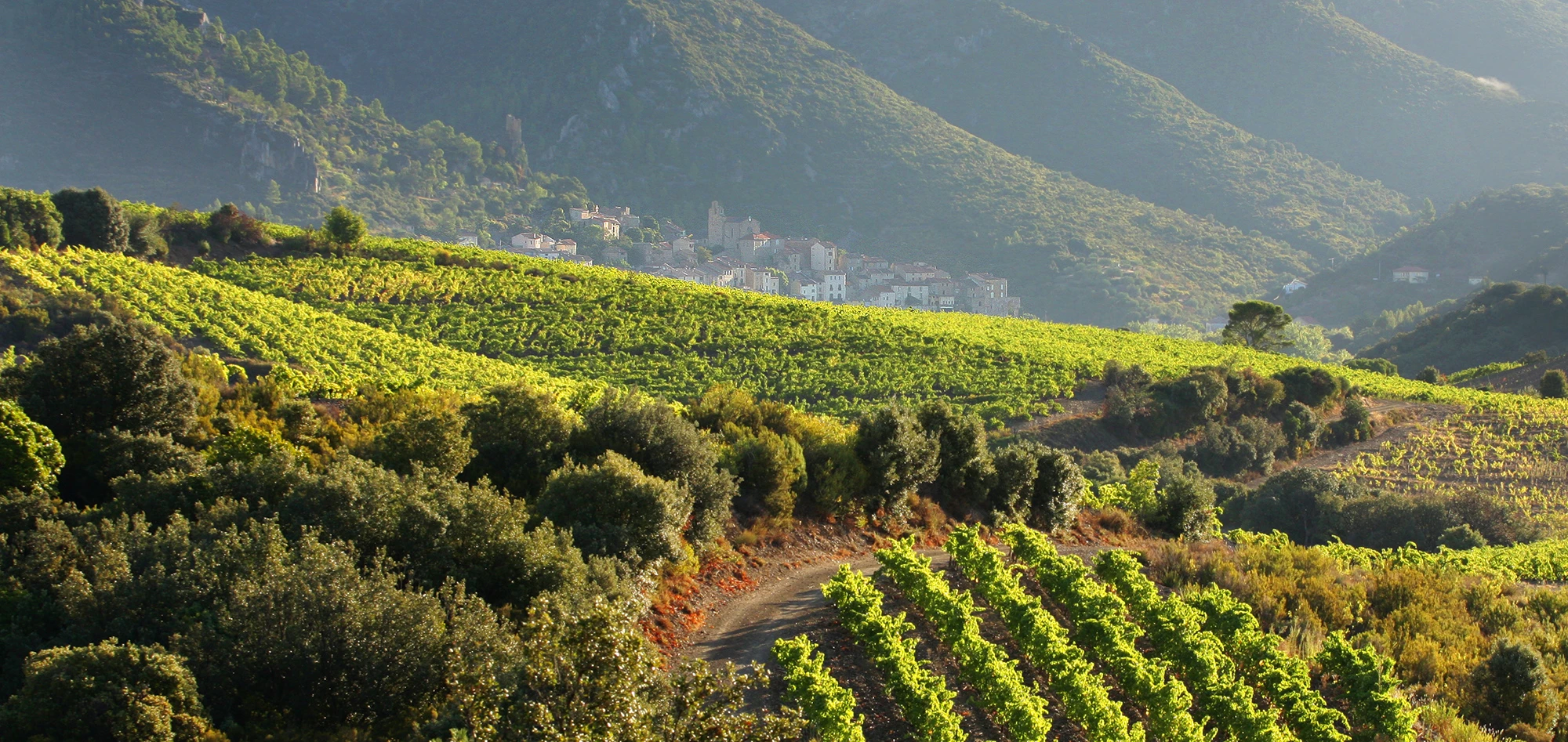 IMG 9470 copie 6.webp